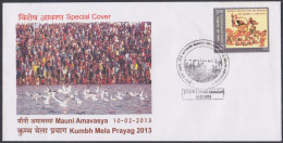 Inde India 2013 Special Cover Kumbh Mela, Prayag, Allahabad, Hinduism, Hindu Religion, Festival, Bird Pictorial Postmark - Lettres & Documents