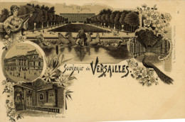 Souvenir De VERSAILLES - Versailles