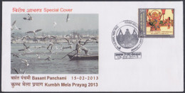 Inde India 2013 Special Cover Kumbh Mela, Prayag, Allahabad, Hinduism, Hindu Religion, Festival, Bird Pictorial Postmark - Cartas & Documentos