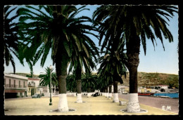 ALGERIE - ARZEW - LA PALMERAIE DU PORT - Other & Unclassified