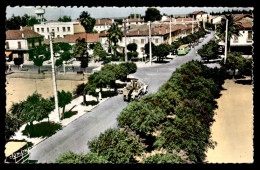 ALGERIE - L'ARBA - RUE CARNOT - Other & Unclassified