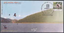 Inde India 2013 Special Cover Ghodakatora Lake, Bird, Birds, Duck, Stork, Pictorial Postmark - Storia Postale