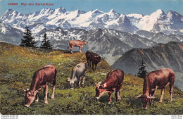 Suisse > LU Lucerne > RIGI UND BERNERALPEN - Troupeau De Vaches Dans Les Alpages - Timbre Français 12 F - Lucerna