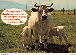 Humour Vaches " Changement ! Quel Changement ?..... " - Cows