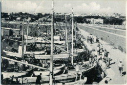 GIULIANOVA LIDO TERAMO Il Porto - Teramo