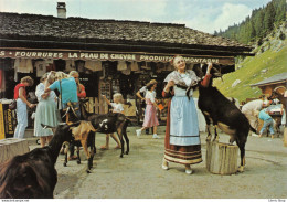 LES LINDARETS Près De MORZINE (Haute-Savoie) Folklore Savoyard - Chèvres Cpm GF - Altri & Non Classificati