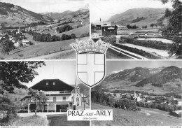 PRAZ-sur-ARLY (Hte-Savoie) Multivues - Hôtel Du Val D'Arly - Le Mini-golf Cpsm Dentelée GF - Autres & Non Classés