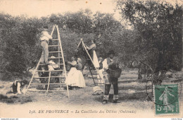 AGRICULTURE -  La Cueillette Des Olives En Provence (Oulivado) - Landbouw