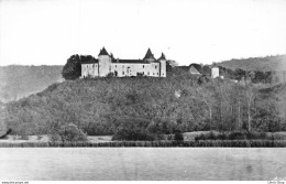 VIGNIEU - (Isère) Château CHAPEAU CORNU Et Le Lac Cpsm Dentelée PF 1960 - Autres & Non Classés