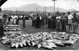 # Métier # Pêcheur # ST-JEAN-de-LUZ  Au Port, Vente De Poisson à La Criée Cpsm PF 1959 - Pesca