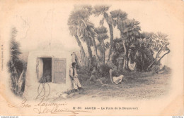 ALGER - Le Puits De La Bouzareah - Cpa 1903 - Alger