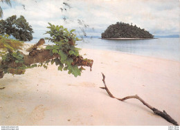 Small Tropical Islands Off Port Barton,  Palawan. Philippines - Philippinen