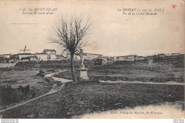 [42] Loire > Mont Pilat - Le BESSAT Vu De La Croix-Blanche  Edit. Johannes Merlat, St Etienne - Mont Pilat