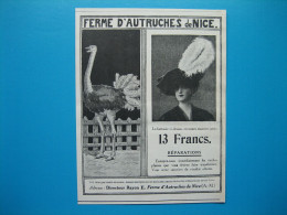(1912) Ferme D'Autruches De Nice - Directeur Rayon E. - - Pubblicitari