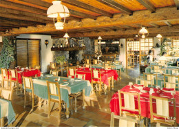 Condat-en-Feniers (15) - Hotel-Restaurant "Le Lac Des Moines" - Éditions Modernes Theojac CPSM GF - Condat