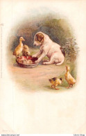Chien Dog - Raphael Tuck & Fils - Série 7. 8 - Chromolithographie Chiot Puppy Et Canetons Ducklings - CPR - Tuck, Raphael