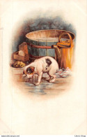 Chien Dog - Raphael Tuck & Fils - Série 7. 2 - Chromolithographie - Chiot Puppy à La Sortie Du Bain - CPR - Tuck, Raphael