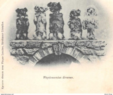 Publicité - Chien Dog - Physionomies Diverses - Epreuve Obtenue Avec Plaque Lumière, Révélateur Cristallos - CPR - Publicité