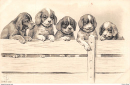 Chien Dog Illustration Wien Viennoise Série 8127 E.S.D - 5 Adorables Chiots Puppies "Beagle" - CPR Embossée - Hunde
