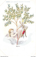 Publicité L'ECLAIR, Journal Politique - Ange Cupidon Accroché à L'arbre Sacré "Myrte" Signé Grandville  CPR - Publicité