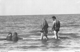 Sygma Photographe De Guerre C. Spengler - LA FEMME EN IRAN - Le Bain Des Femmes Voilées Dans La Mer Caspienne Cpm 1979 - Sonstige & Ohne Zuordnung