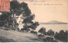 Sanary (83)  Les Pins Aux Bords De Mer - Cpa 1906 - Sanary-sur-Mer