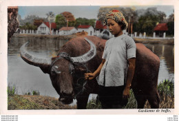 VIET-NAM - LOT DE 2 CPSM JEUNE GARDIENNE DE BUFFLE - SAIGON - LES GARDIENS DE BUFFLES - PHOTO NAM PHAT N°32 ET 79 - Vietnam