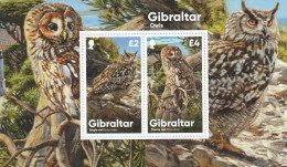 Gibraltar 2020 - Fauna , Burds , Owls , Block-2 Values , Perforated , MNH,Mi. Bl.143 - Gibraltar