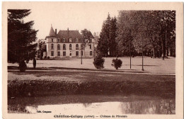 CPA 45 - CHATILLON-COLIGNY (Loiret) - Château De Mivoisin - Chatillon Coligny