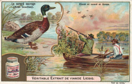Liebig Le Canard Sauvage - Liebig