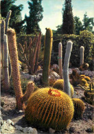 Fleurs - Plantes - Cactus - Eze Village - Le Jardin Exotique - CPM - Voir Scans Recto-Verso - Sukkulenten