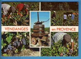 Vignes - Vendanges - Provence - Multivues - Ecrite En 1983 - Wijnbouw
