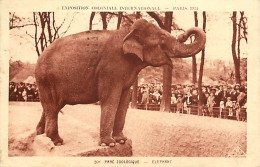 Animaux - Eléphants - Paris - Parc Zoologique Du Bois De Vincennes - Exposition Coloniale Internationale De 1931 - Animé - Elefantes