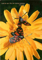 Animaux - Papillons - Fleurs - CPM - Voir Scans Recto-Verso - Vlinders
