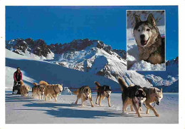 Animaux - Chiens - Husky - Attelage - Traineau - Flamme Postale - CPM - Voir Scans Recto-Verso - Hunde