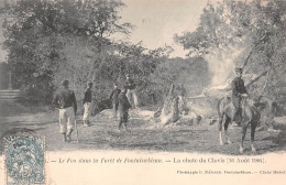 FORÊT De FONTAINEBLEAU (77) - Lot De 3 Cpa Sur L'Incendie Des 15 Et 16 Aout 1904 - Phototypie L. Ménard, Fontainebleau - Fontainebleau