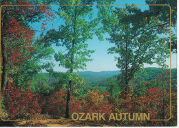 Ozark Autumn - Sonstige & Ohne Zuordnung