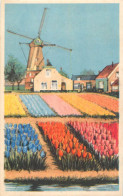 Postcard Netherlands Windmill Tulip Field Fantasy - Autres & Non Classés