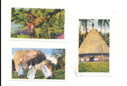 DQ06 - IMAGES ADOLPHE ANCEL - NIGER - GUINEE FRANCAISE KINDIA - Autres & Non Classés