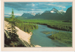 Jasper Park - Athabasca River - Jasper