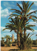 Marrakech - Vue Sur La Koutoubia - Marrakech