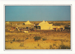 Réveil Au Campement - Mauretanien