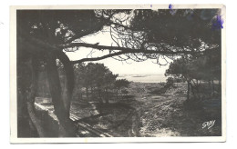 BARBÂTRE - Une Jolie échappée Sur L'Océan - N°14 G. Artaud - VENTE DIRECTE X - Ile De Noirmoutier