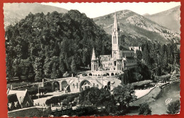 LOURDES - La Basilique Et Le Gave - 1955 (c789) - Lourdes