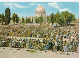 Jerusalem - Prayers At Mosque Of Omar - Palestine