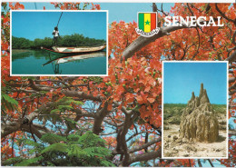 Vues Du Sénégal - Senegal