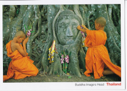 Ayutthaya - Buddha Image's Head - Thailand