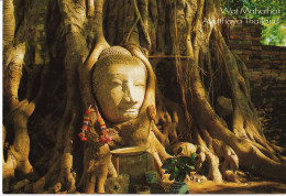 Ayutthaya - Wat Mahathat - Thaïland