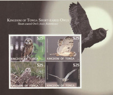 Tonga 2012 - Fauna , Birds , Owls , Block 4 Values , Perforated , MNH,Mi.Bl.57 - Tonga (1970-...)