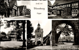 CPA Blomberg In Lippe, Altes Amtshaus, Burghof, 1000 Jährige Linde, Niedertor - Autres & Non Classés